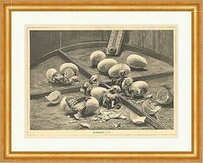 Brutapparat küken eier gebraucht kaufen  Grabenstätt