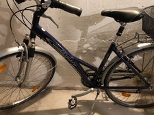 Damenfahrrad zoll guter gebraucht kaufen  Kolbermoor