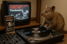 Dmc turntablists trix gebraucht kaufen  Münster