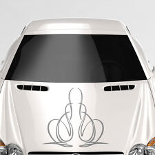 Pinstripes motorhaube streifen gebraucht kaufen  Breisach am Rhein