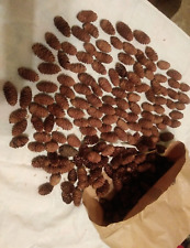 Lote de pinhas pequenas da WI comprar usado  Enviando para Brazil