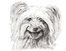 Pyrenean shepherd cards for sale  Shipping to United Kingdom
