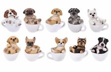Mini teacup puppy for sale  Fresh Meadows