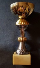 Trofeo premio coppa usato  Torino