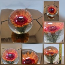 Hafod grange paperweights for sale  NORWICH