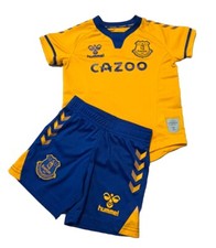 Everton football club for sale  FALKIRK