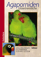Agaporniden unzertrennliche gebraucht kaufen  Berlin