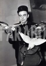 Vintage animali piccioni usato  Roma