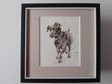 Hannah dale dog for sale  YORK