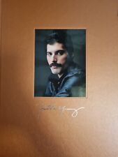 Freddy mercury the gebraucht kaufen  Engen