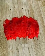 10x ostrich feathers for sale  WOKING