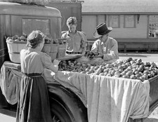 1939 selling apples for sale  Fitchburg
