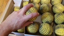 Dozen used pro for sale  Boulder