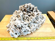 Live marine rock for sale  HITCHIN