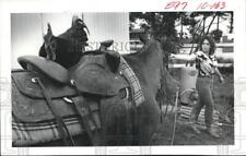 rooster rescue for sale rooster rescue for sale Memphis