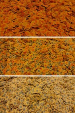 Colour energy algae for sale  UK