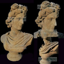 Grande busto apollo usato  San Benedetto del Tronto
