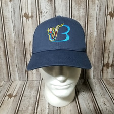 Milb beloit sky for sale  Goodyear