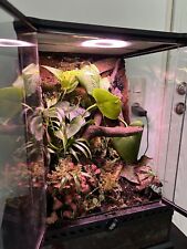 Terrarium glas gebraucht kaufen  Eitting
