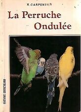 Perruche ondulée . d'occasion  Hennebont