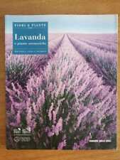 Lavanda piante aromatiche usato  Fiumefreddo di Sicilia