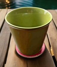 Vtg ceramic plant for sale  Webster