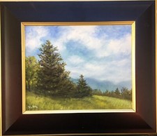 Blue ridge pastoral for sale  Rock Hill