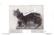 Vintage old photograph for sale  NORWICH