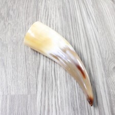 Small polished cow for sale  Parma