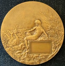 Superbe médaille artistique d'occasion  Romorantin-Lanthenay