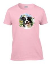 Women border collie for sale  Kimberling City