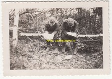 Foto russland wolchow gebraucht kaufen  Rötha