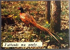 Carte postale humoristique d'occasion  France