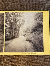Victorian stereoview photo for sale  IPSWICH