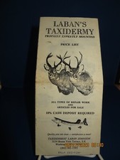 Vintage labans taxidermy for sale  Bishopville
