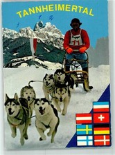 39433244 weissenbach polarhund gebraucht kaufen 39433244 weissenbach polarhund gebraucht kaufen  Eimeldingen