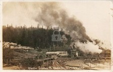 Lumber logging sawmill for sale  USA