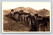 Cartão postal RPPC Porto Rico Royal Palms - AZO comprar usado  Enviando para Brazil