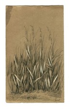 Botanique dessin original d'occasion  Anet