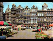 Brussels flower merchant d'occasion  Expédié en Belgium