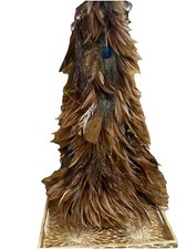 Peacock feather bird for sale  Arlington