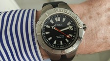 Titanium ebel sportwave usato  Roma