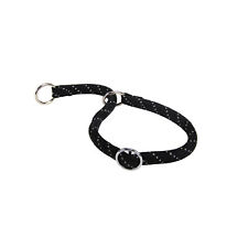 Collare cane cani usato Collare cane cani usato  Italia