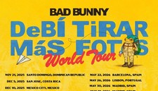 Incredible bad bunny for sale  Acton