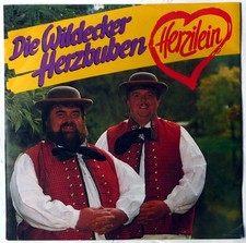 Single wildecker herzbuben gebraucht kaufen Single wildecker herzbuben gebraucht kaufen  Adendorf