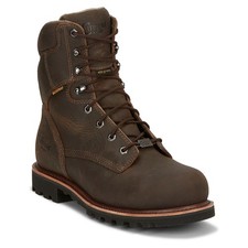 Chippewa men 14d for sale  Haslet