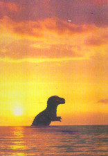 Postkarte edgar nr gebraucht kaufen Postkarte edgar nr gebraucht kaufen  Essen