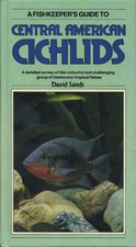 Central american cichlids for sale  ROSSENDALE
