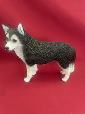 Black white brown for sale  San Jose