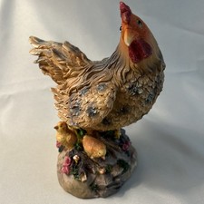chicks chickens hen chicken for sale chicks chickens hen chicken for sale Washington